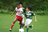 DSC03110_thumb.png