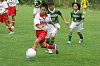 DSC03113_thumb.png