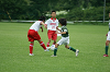DSC03134_thumb.png