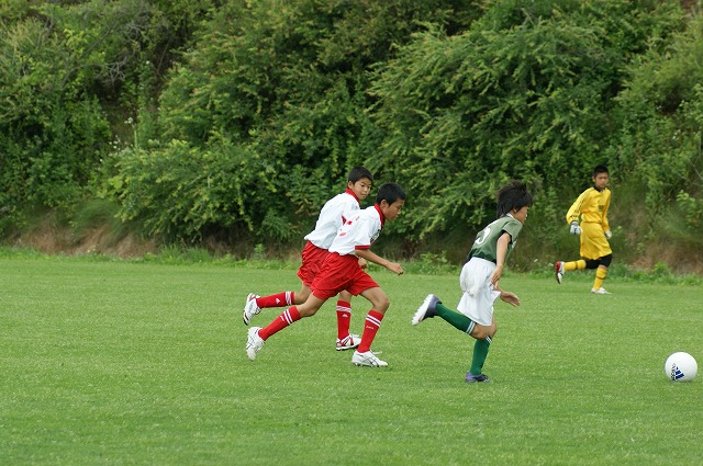DSC03194.jpg