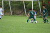 DSC03267_thumb.png