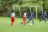 DSC03330_thumb.png