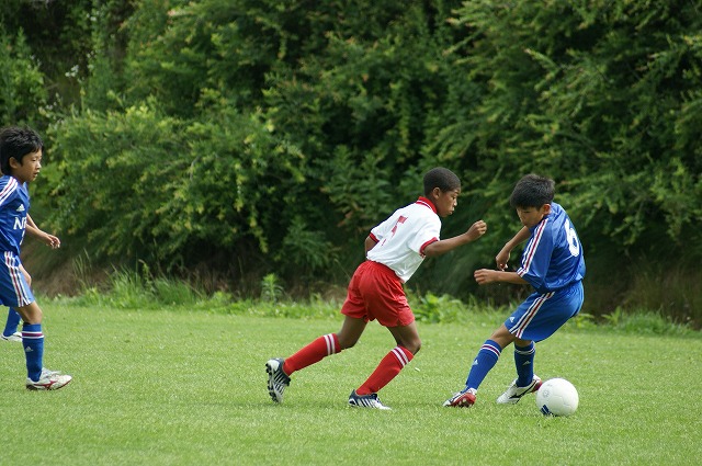 DSC03331.jpg