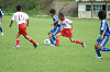 DSC03353_thumb.png