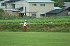 DSC03419_thumb.png