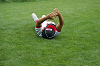 DSC03455_thumb.png