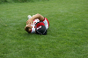 DSC03456_thumb.png