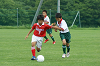 DSC03507_thumb.png