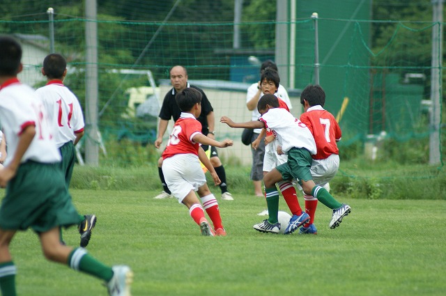 DSC03519.jpg