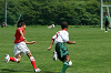 DSC03547_thumb.png