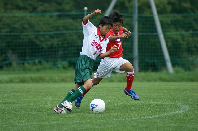 DSC03553.jpg