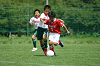 DSC03556_thumb.png