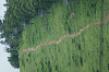 DSC03589_thumb.png
