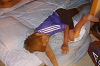 IMG_0259_thumb.png