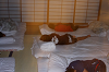 IMG_0261_thumb.png
