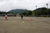 IMG_0342_thumb.png