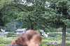 IMG_0379_thumb.png
