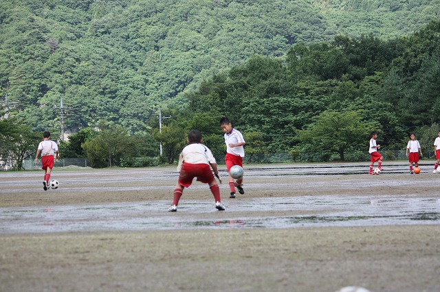 IMG_1955.jpg
