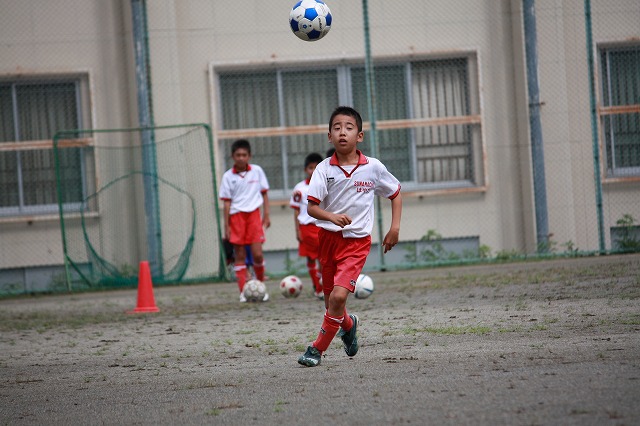 IMG_2243.jpg