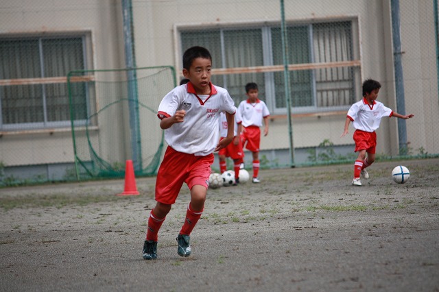IMG_2245.jpg