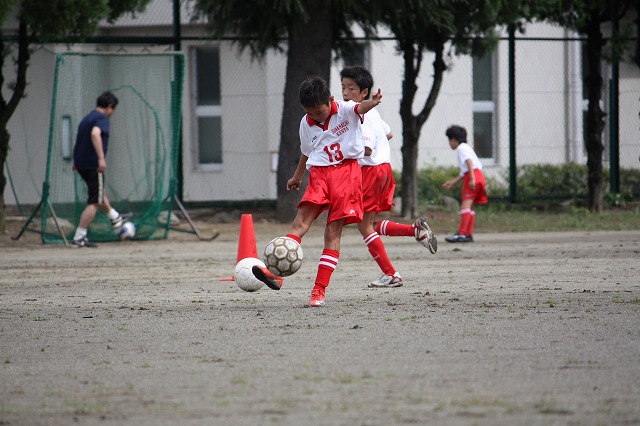 IMG_2288.jpg
